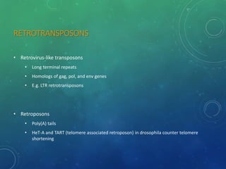RETROTRANSPOSONS
• Retrovirus-like transposons
• Long terminal repeats
• Homologs of gag, pol, and env genes
• E.g. LTR retrotransposons
• Retroposons
• Poly(A) tails
• HeT-A and TART (telomere associated retroposon) in drosophila counter telomere
shortening
 