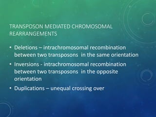 TRANSPOSON MEDIATED CHROMOSOMAL
REARRANGEMENTS
• Deletions – intrachromosomal recombination
between two transposons in the same orientation
• Inversions - intrachromosomal recombination
between two transposons in the opposite
orientation
• Duplications – unequal crossing over
 