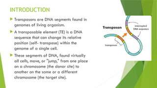 Transposons final for zoology final year.pptx