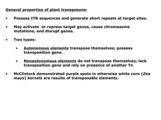General properties of plant transposons:
• Possess ITR sequences and generate short repeats at target sites.
• May activate or repress target genes, cause chromosome
mutations, and disrupt genes.
• Two types:
• Autonomous elements transpose themselves; possess
transposition gene.
• Nonautonomous elements do not transpose themselves; lack
transposition gene and rely on presence of another Tn
• McClintock demonstrated purple spots in otherwise white corn (Zea
mays) kernels are results of transposable elements.
 
