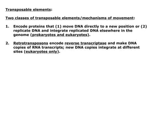 Transposable elements:
Two classes of transposable elements/mechanisms of movement:
1. Encode proteins that (1) move DNA directly to a new position or (2)
replicate DNA and integrate replicated DNA elsewhere in the
genome (prokaryotes and eukaryotes).
2. Retrotransposons encode reverse transcriptase and make DNA
copies of RNA transcripts; new DNA copies integrate at different
sites (eukaryotes only).
 
