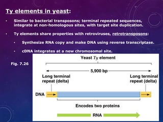 Transposons is.pptx
