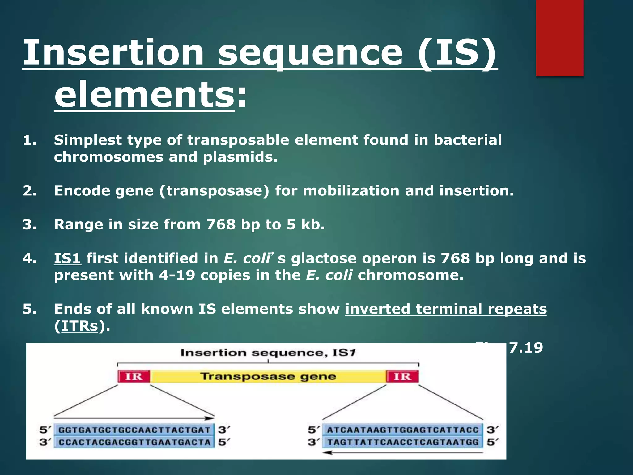 Insertion sequence (IS)
elements:
1. Simplest type of transposable element found in bacterial
chromosomes and plasmids.
2. Encode gene (transposase) for mobilization and insertion.
3. Range in size from 768 bp to 5 kb.
4. IS1 first identified in E. coli’s glactose operon is 768 bp long and is
present with 4-19 copies in the E. coli chromosome.
5. Ends of all known IS elements show inverted terminal repeats
(ITRs).
Fig. 7.19
 