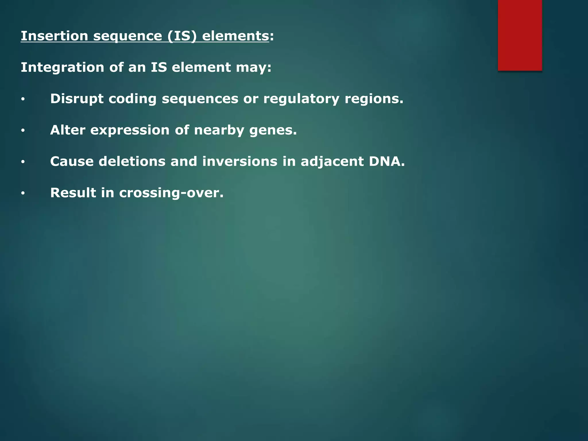 Insertion sequence (IS) elements:
Integration of an IS element may:
• Disrupt coding sequences or regulatory regions.
• Alter expression of nearby genes.
• Cause deletions and inversions in adjacent DNA.
• Result in crossing-over.
 
