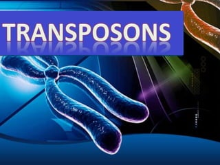 Transposons
(Transposable Elements)
A transposable element (TE) is a DNA sequence
that can change its relative position (s...