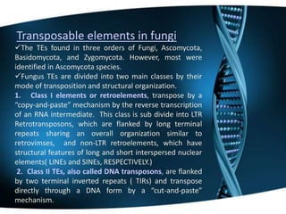 Transposable elements in
eukaryotes:
In eukaryotes TE can be divided into 2
groups
One group is structurally similar to ...