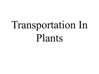 Transportation In
Plants
 