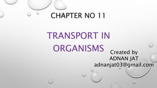 CHAPTER NO 11
TRANSPORT IN
ORGANISMS Created by
ADNAN JAT
adnanjat03@gmail.com
 
