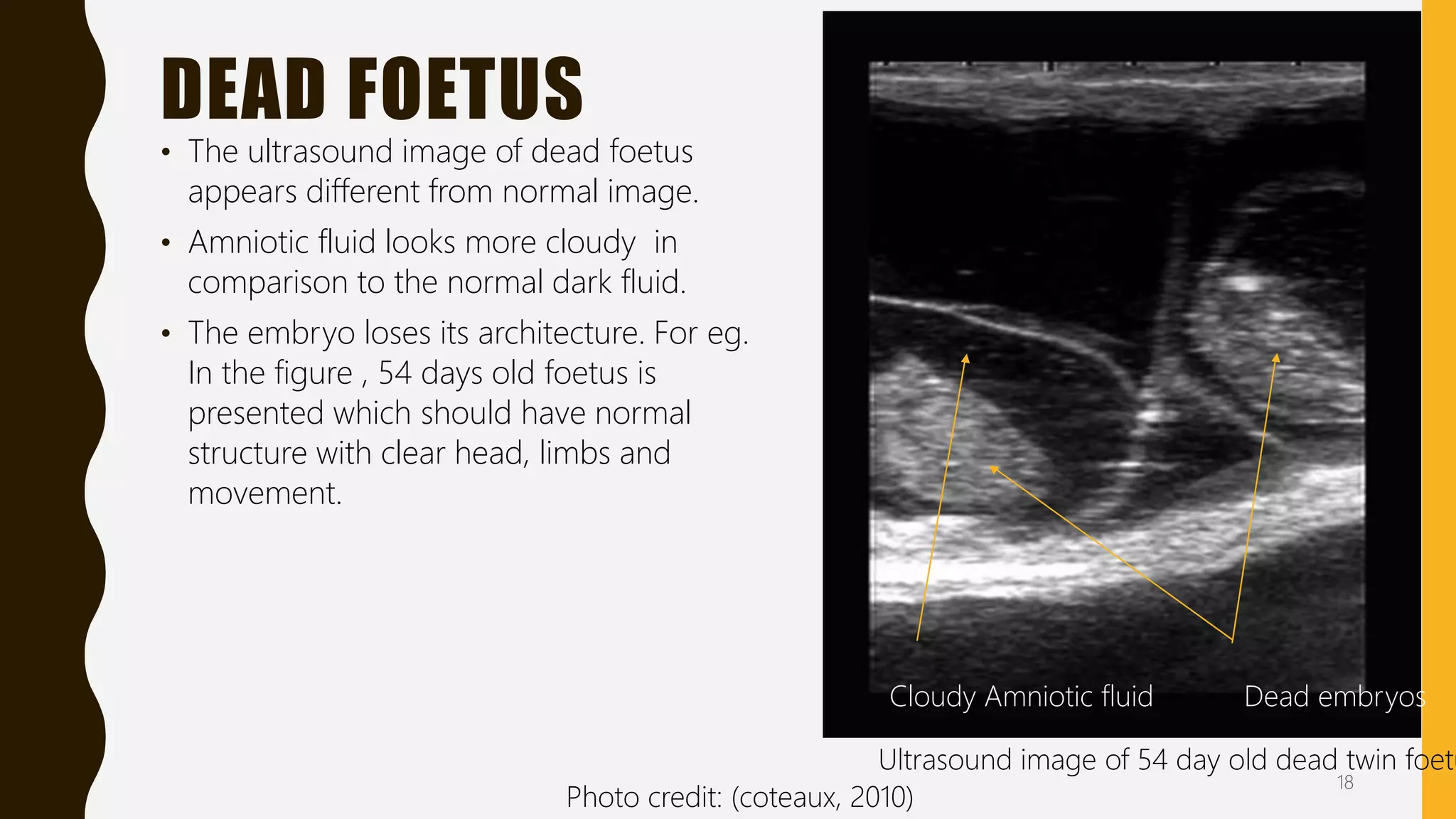 Transrectal ultrasonography in reproductive management of cattle | PPTX