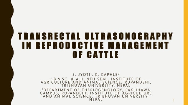 Transrectal ultrasonography in reproductive management of cattle | PPTX