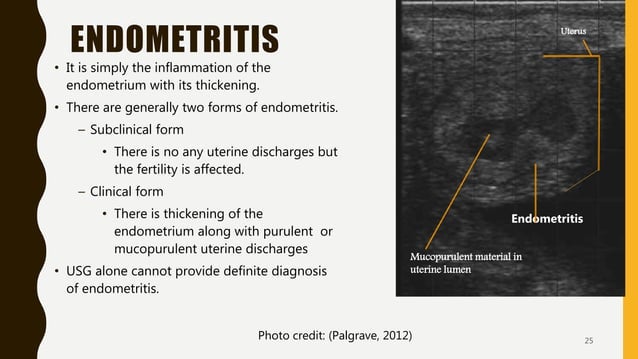 Transrectal ultrasonography in reproductive management of cattle | PPTX