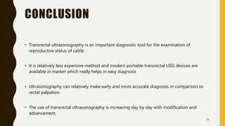 Transrectal ultrasonography in reproductive management of cattle | PPTX
