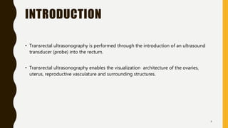 Transrectal ultrasonography in reproductive management of cattle | PPTX