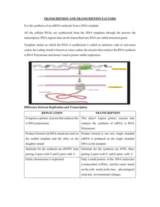 TRANSCRIPTION AND TRANSCRIPTION FACTORS | PDF