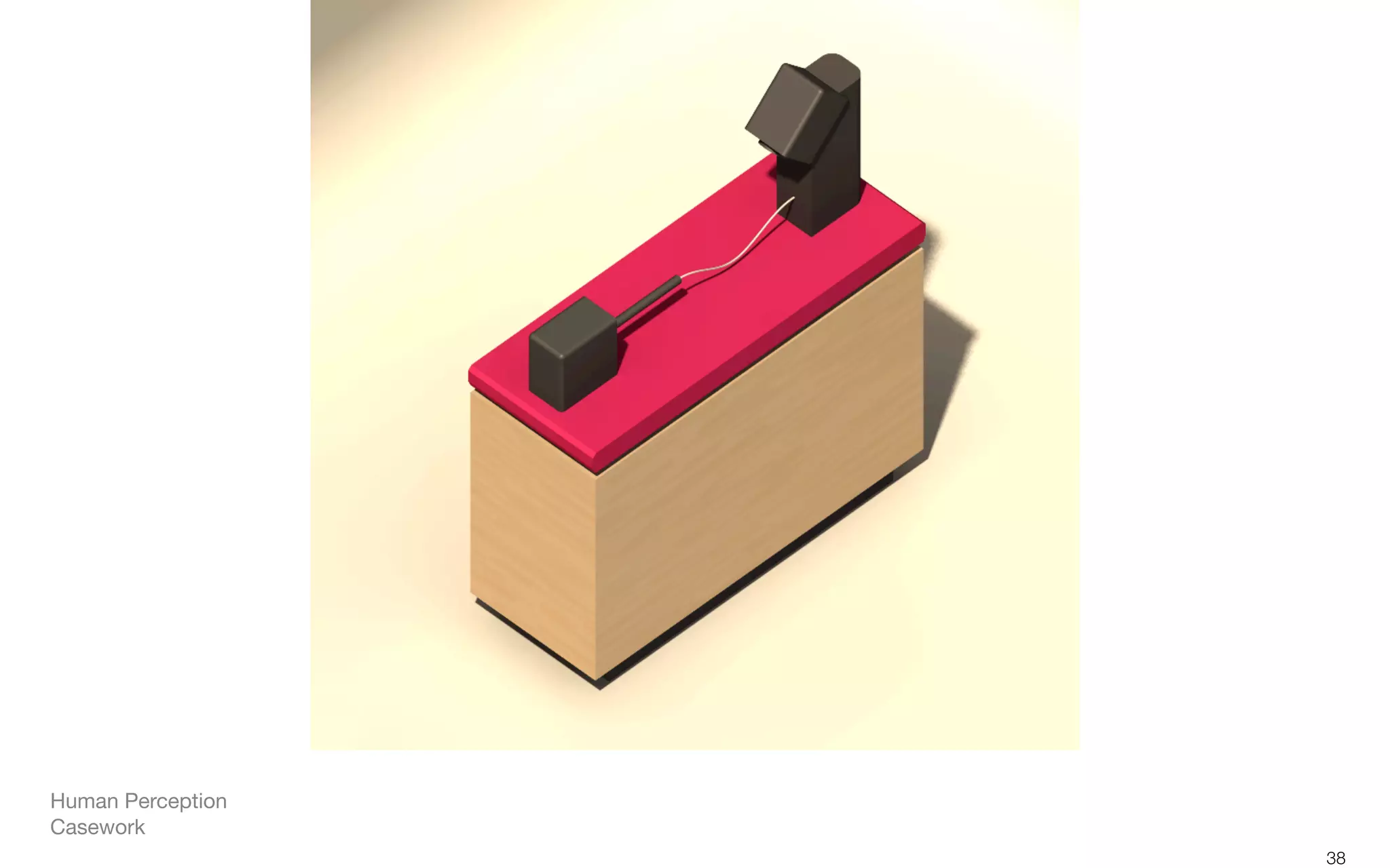 38
Human Perception
Casework
 