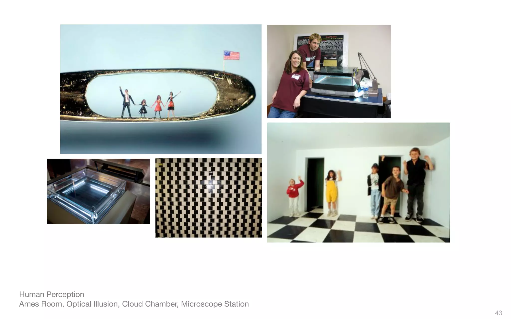 Human Perception
Ames Room, Optical Illusion, Cloud Chamber, Microscope Station
43
 