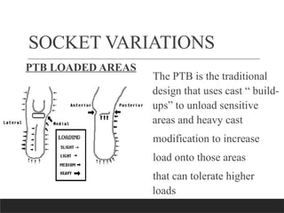 Ptb Socket Design Comprehensive Overview of Transtibial Prosthetic Socket Designs and ...