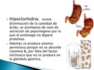  Hipoclorhidria: existe
disminución de la cantidad de
ácido, se acompana de cese de
secreción de pepsinógeno por lo
que el estómago no digiere
proteínas.
 Además se produce anemia
perniciosa porque no se absorbe
vitamina B2 por falta del factor
intrínseco que no se produce en
la glándula gástríca.
 