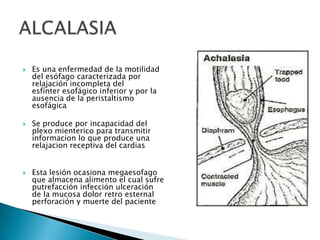  Es una enfermedad de la motilidad
del esófago caracterizada por
relajación incompleta del
esfínter esofágico inferior y por la
ausencia de la peristaltismo
esofágica
 Se produce por incapacidad del
plexo mienterico para transmitir
informacion lo que produce una
relajacion receptiva del cardias
 Esta lesión ocasiona megaesofago
que almacena alimento el cual sufre
putrefacción infección ulceración
de la mucosa dolor retro esternal
perforación y muerte del paciente
 