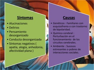 Síntomas
• Alucinaciones
• Delirios
• Pensamiento
desorganizado
• Conducta desorganizada
• Síntomas negativos (
apatía, alogia, anhedonia,
afectividad plana )
Causas
• Genéticos : Familiares con
esquizofrenia o con trastorno
de bipolaridad.
• Química cerebral :
Perturbación en el
funcionamiento de los
circuitos cerebrales.
• Ambiente : Sucesos
estresantes o pobres de
interacciones sociales.
 