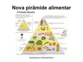 Nova pirâmide alimentar 