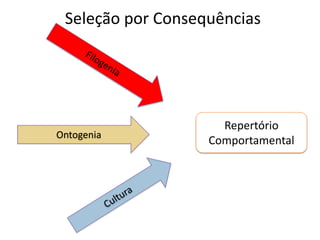 Seleção por Consequências
Repertório
ComportamentalOntogenia
 