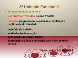1212
3ª Unidade Funcional
 Terceira unidade funcional:
- Estruturas envolvidas: Lobos frontais
- Função: programação, regulação e verificação
continuada da atividade
- memória de trabalho
- sustentação da atenção
- capacidade de concentração
- alternância do foco atencional para mais de uma
variável
Riesgo, 2006; Luria, 1966, 1984
 