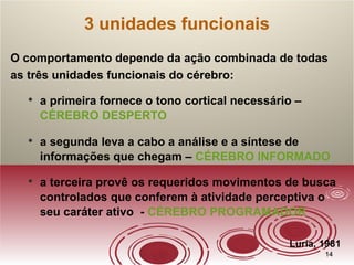 1414
O comportamento depende da ação combinada de todas
as três unidades funcionais do cérebro:

a primeira fornece o tono cortical necessário –
CÉREBRO DESPERTO

a segunda leva a cabo a análise e a síntese de
informações que chegam – CÉREBRO INFORMADO

a terceira provê os requeridos movimentos de busca
controlados que conferem à atividade perceptiva o
seu caráter ativo - CÉREBRO PROGRAMADOR
Luria, 1981
3 unidades funcionais
 