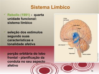 1515
Sistema Límbico
 Rebollo (1991) - quarta
unidade funcional:
sistema límbico
 seleção dos estímulos
segundo suas
características e
tonalidade afetiva
 porção orbitária do lobo
frontal - planificação da
conduta no seu aspecto
afetivo
 