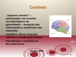 1616
Cerebelo
 “pequeno cérebro” –
participação nos eventos
neurobiológicos do
aprendizado – recepção das
informações e modulação das
respostas
- equilíbrio, tônus muscular,
marcha e coordenação motora
- manutenção e mudança do
foco atencional
Riesgo, 2006
 