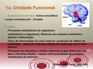 88
1a. Unidade Funcional
 Estruturas envolvidas: tronco encefálico
e suas conexões pré – frontais
Funções:
- Processos metabólicos do organismo:
respiratórios e digestivos; Sistemas de condutas instintivas –
sexual e alimentação
- Fluxo de informações do meio externo: produção de reflexo de
orientação – alerta do indivíduo diante de mudanças que o meio
oferece
- Formação de intenções e metas: refere-se ao que interessa e ao
que o indivíduo decide – requer certa quantidade de energia e
mobilização de esforços
Riesgo, 2006; Luria, 1966, 1984
 