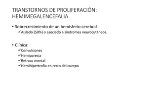 TRANSTORNOS DE PROLIFERACIÓN:
HEMIMEGALENCEFALIA
• Sobrecrecimiento de un hemisferio cerebral
Aislado (50%) o asociado a síndromes neurocutáneos.
• Clínica:
Convulsiones
Hemiparesia
Retraso mental
Hemihipertrofia en resto del cuerpo
 