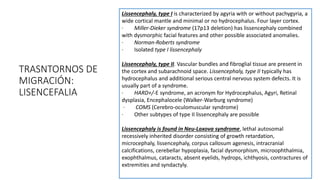 TRASNTORNOS DE
MIGRACIÓN:
LISENCEFALIA
Lissencephaly, type I is characterized by agyria with or without pachygyria, a
wide cortical mantle and minimal or no hydrocephalus. Four layer cortex.
· Miller-Dieker syndrome (17p13 deletion) has lissencephaly combined
with dysmorphic facial features and other possible associated anomalies.
· Norman-Roberts syndrome
· Isolated type I lissencephaly
Lissencephaly, type II. Vascular bundles and fibroglial tissue are present in
the cortex and subarachnoid space. Lissencephaly, type II typically has
hydrocephalus and additional serious central nervous system defects. It is
usually part of a syndrome.
· HARD+/-E syndrome, an acronym for Hydrocephalus, Agyri, Retinal
dysplasia, Encephalocele (Walker-Warburg syndrome)
· COMS (Cerebro-oculomuscular syndrome)
· Other subtypes of type II lissencephaly are possible
Lissencephaly is found in Neu-Laxova syndrome, lethal autosomal
recessively inherited disorder consisting of growth retardation,
microcephaly, lissencephaly, corpus callosum agenesis, intracranial
calcifications, cerebellar hypoplasia, facial dysmorphism, microophthalmia,
exophthalmus, cataracts, absent eyelids, hydrops, ichthyosis, contractures of
extremities and syndactyly.
 