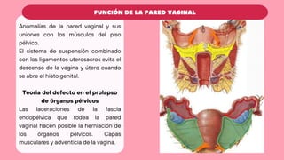 Prolapzo Comprehensive Overview of Pelvic Organ Prolapse and Urinary ...
