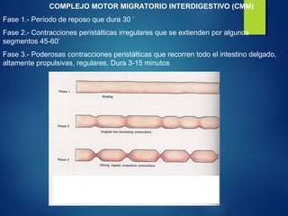 Transtornos de la motilidad intestinal | PPT