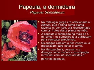Papoula, a dormideiraPapoula, a dormideira
Papaver SomniferumPapaver Somniferum
 Na mitologia grega era relacionada aNa mitologia grega era relacionada a
HipnosHipnos, que a tinha como planta, que a tinha como planta
favorita e, por isso, era representadofavorita e, por isso, era representado
com os frutos desta planta na mão.com os frutos desta planta na mão.
 A papoula é conhecida há mais de 5A papoula é conhecida há mais de 5
mil anos - os sumérios já a utilizavammil anos - os sumérios já a utilizavam
para combater problemas.para combater problemas.
 Os antigos comiam a flor inteira ou aOs antigos comiam a flor inteira ou a
maceravam para obter o sumo.maceravam para obter o sumo.
 Na Mesopotâmia, curavam-seNa Mesopotâmia, curavam-se
doenças como insônia e constipaçãodoenças como insônia e constipação
intestinal com infusões obtidas aintestinal com infusões obtidas a
partir da papoula.partir da papoula.
 