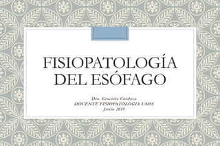 FISIOPATOLOGÍA
DEL ESÓFAGO
Dra. Graciela Córdova
DOCENTE FISIOPATOLOGIA UMSS
Junio 2019
 