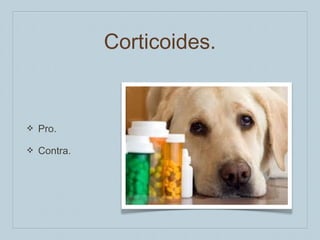 Corticoides.

❖

Pro.

❖

Contra.

 