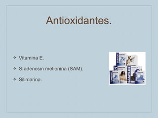 Antioxidantes.

❖

Vitamina E.

❖

S-adenosin metionina (SAM).

❖

Silimarina.

 