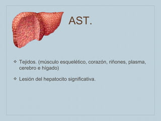 AST.

❖

Tejidos. (músculo esquelético, corazón, riñones, plasma,
cerebro e hígado)

❖

Lesión del hepatocito significativa.

 
