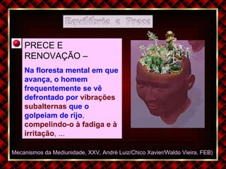 Mecanismos da Mediunidade, XXV, André Luiz/Chico Xavier/Waldo Vieira, FEB)  PRECE E RENOVAÇÃO –   Na floresta mental em que avança, o homem frequentemente se vê defrontado por   vibrações subalternas   que o golpeiam de rijo ,   compelindo-o à fadiga e à irritação , ... 