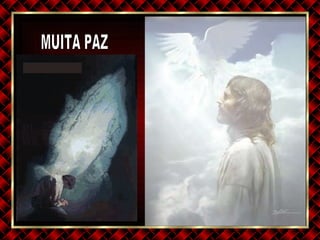 MUITA PAZ 