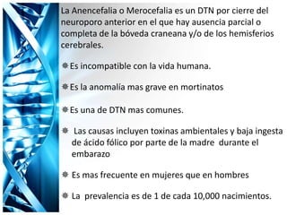 La Anencefalia o Merocefalia es un DTN por cierre del
neuroporo anterior en el que hay ausencia parcial o
completa de la bóveda craneana y/o de los hemisferios
cerebrales.
Es incompatible con la vida humana.
Es la anomalía mas grave en mortinatos
Es una de DTN mas comunes.
 Las causas incluyen toxinas ambientales y baja ingesta
de ácido fólico por parte de la madre durante el
embarazo
 Es mas frecuente en mujeres que en hombres
 La prevalencia es de 1 de cada 10,000 nacimientos.
 