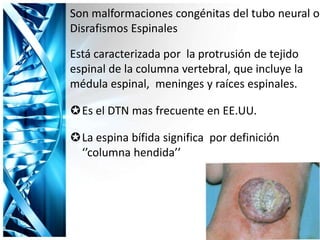 Son malformaciones congénitas del tubo neural o
Disrafismos Espinales
Está caracterizada por la protrusión de tejido
espinal de la columna vertebral, que incluye la
médula espinal, meninges y raíces espinales.
Es el DTN mas frecuente en EE.UU.
La espina bífida significa por definición
‘’columna hendida’’
 
