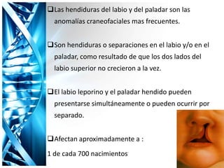 Las hendiduras del labio y del paladar son las
anomalías craneofaciales mas frecuentes.
Son hendiduras o separaciones en el labio y/o en el
paladar, como resultado de que los dos lados del
labio superior no crecieron a la vez.
El labio leporino y el paladar hendido pueden
presentarse simultáneamente o pueden ocurrir por
separado.
Afectan aproximadamente a :
1 de cada 700 nacimientos
 