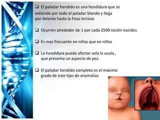  El paladar hendido es una hendidura que se
extiende por todo el paladar blando y llega
por delante hasta la Fosa incisiva
 Ocurren alrededor de 1 por cada 2500 recién nacidos
 Es mas frecuente en niñas que en niños
 La hendidura puede afectar solo la uvula ,
que presenta un aspecto de pez.
 El paladar hendido completo es el máximo
grado de este tipo de anomalías
 
