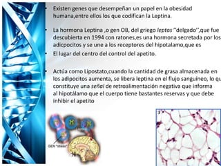 • Existen genes que desempeñan un papel en la obesidad
humana,entre ellos los que codifican la Leptina.
• La hormona Leptina ,o gen OB, del griego leptos ’’delgado’’,que fue
descubierta en 1994 con ratones,es una hormona secretada por los
adicpocitos y se une a los receptores del hipotalamo,que es
• El lugar del centro del control del apetito.
• Actúa como Lipostato,cuando la cantidad de grasa almacenada en
los adipocitos aumenta, se libera leptina en el flujo sanguíneo, lo qu
constituye una señal de retroalimentación negativa que informa
al hipotálamo que el cuerpo tiene bastantes reservas y que debe
inhibir el apetito
 