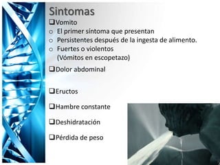 Vomito
o El primer síntoma que presentan
o Persistentes después de la ingesta de alimento.
o Fuertes o violentos
(Vómitos en escopetazo)
Dolor abdominal
Eructos
Hambre constante
Deshidratación
Pérdida de peso
Sintomas
 