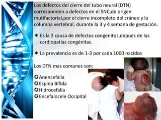 Los defectos del cierre del tubo neural (DTN)
corresponden a defectos en el SNC,de origen
mutifactorial,por el cierre incompleto del cráneo y la
columna vertebral, durante la 3 y 4 semana de gestación.
 Es la 2 causa de defectos congenitos,depues de las
cardiopatías congénitas.
 La prevalencia es de 1-3 por cada 1000 nacidos
Los DTN mas comunes son:
Anencefalia
Espina Bífida
Hidrocefalia
Encefalocele Occipital
 