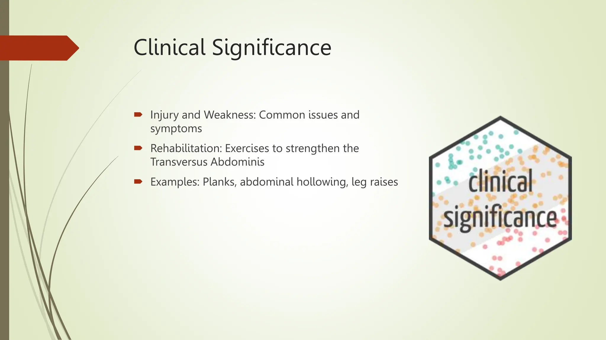 Transverse abdominal definition and functions | PPTX